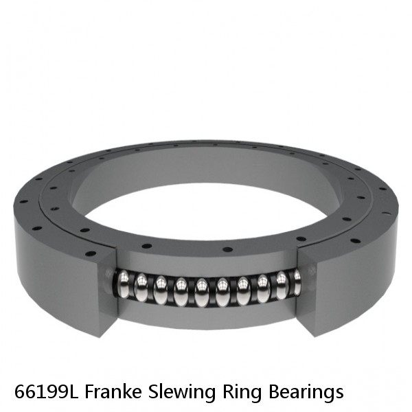 66199L Franke Slewing Ring Bearings