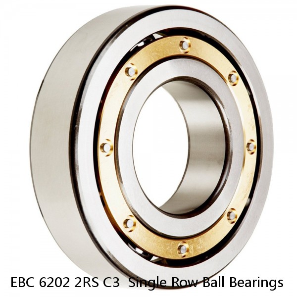 EBC 6202 2RS C3  Single Row Ball Bearings