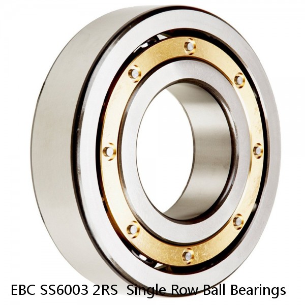 EBC SS6003 2RS  Single Row Ball Bearings