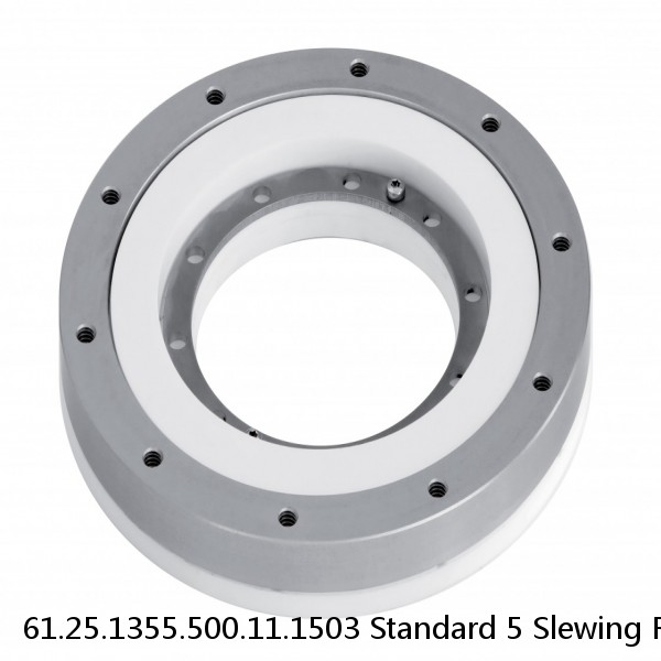 61.25.1355.500.11.1503 Standard 5 Slewing Ring Bearings