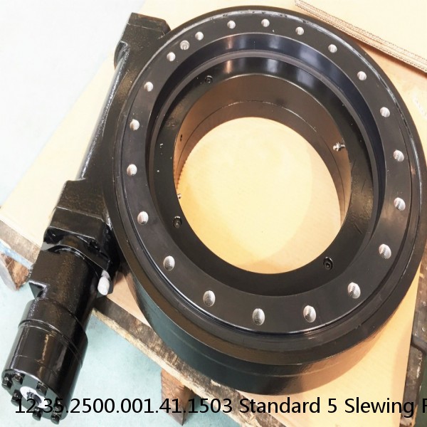 12.35.2500.001.41.1503 Standard 5 Slewing Ring Bearings