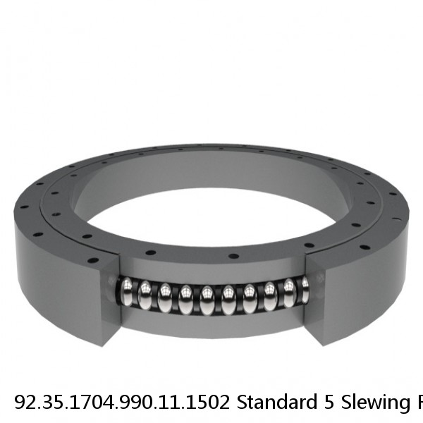 92.35.1704.990.11.1502 Standard 5 Slewing Ring Bearings