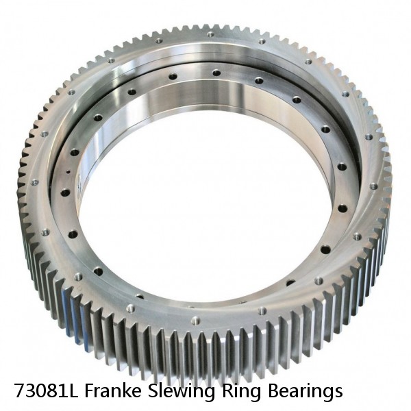 73081L Franke Slewing Ring Bearings