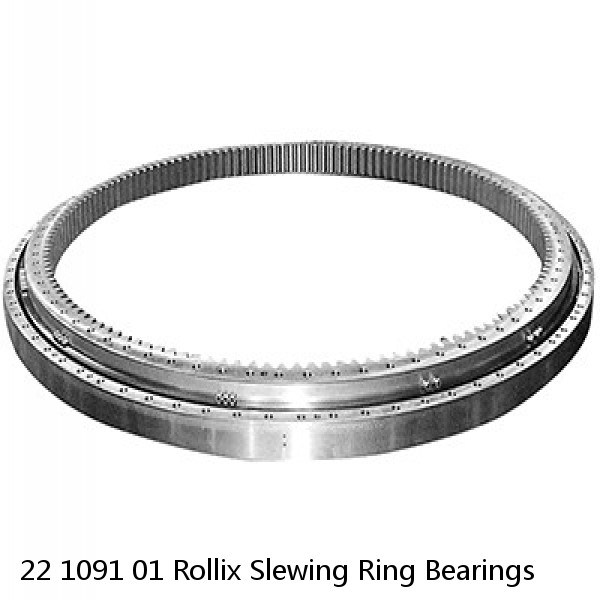 22 1091 01 Rollix Slewing Ring Bearings