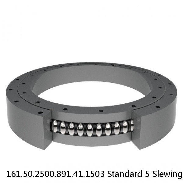 161.50.2500.891.41.1503 Standard 5 Slewing Ring Bearings