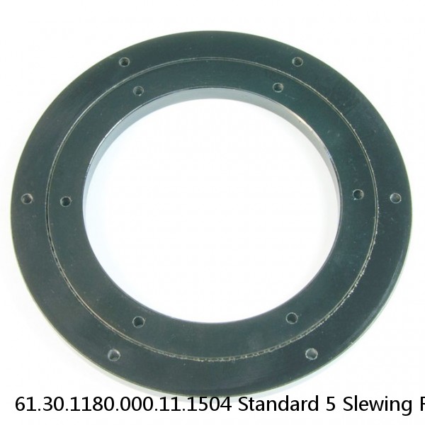 61.30.1180.000.11.1504 Standard 5 Slewing Ring Bearings