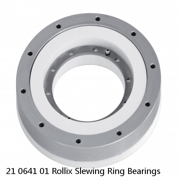 21 0641 01 Rollix Slewing Ring Bearings