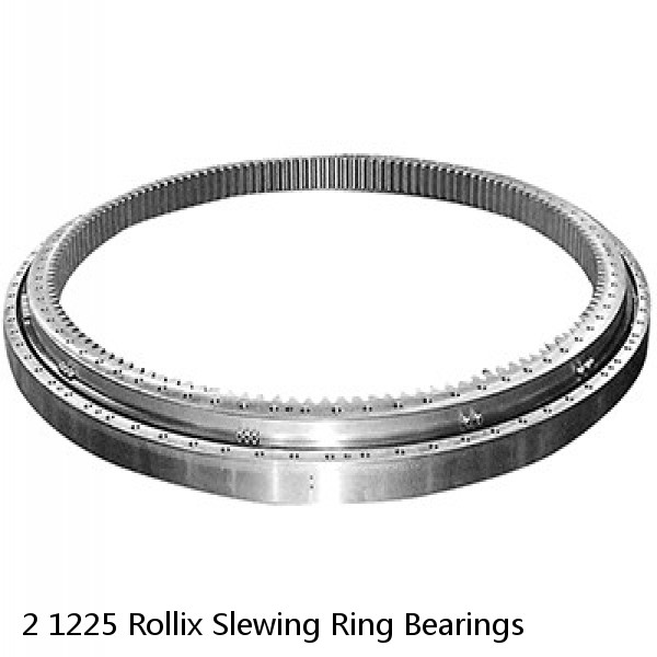 2 1225 Rollix Slewing Ring Bearings