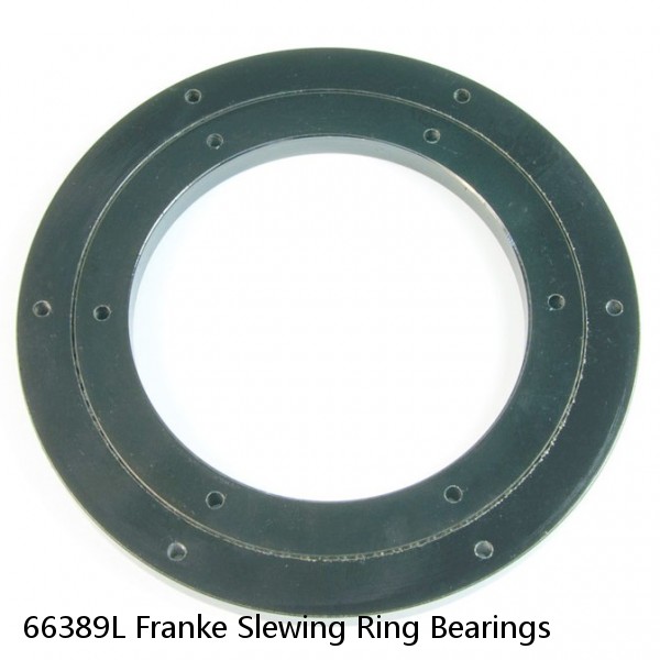 66389L Franke Slewing Ring Bearings