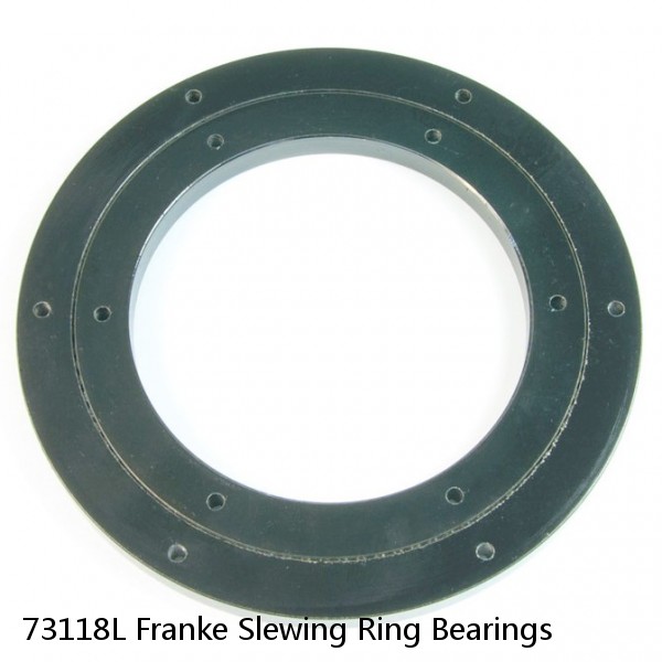 73118L Franke Slewing Ring Bearings