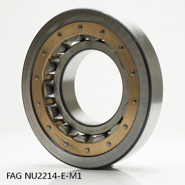 FAG NU2214-E-M1  Cylindrical Roller Bearings #1 small image