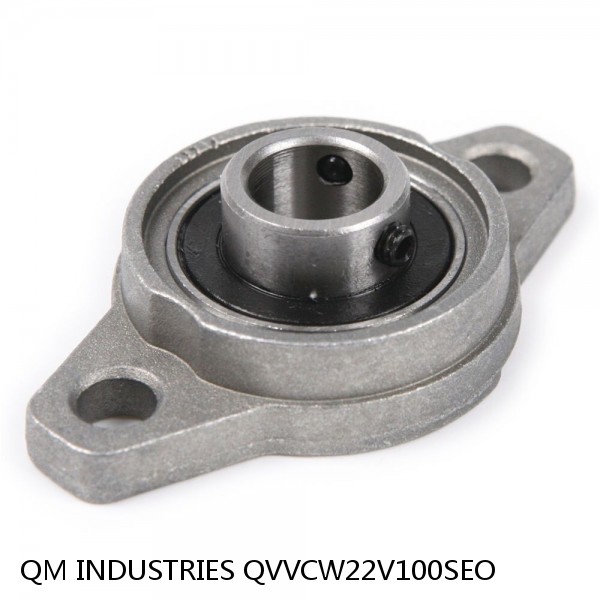 QM INDUSTRIES QVVCW22V100SEO  Flange Block Bearings