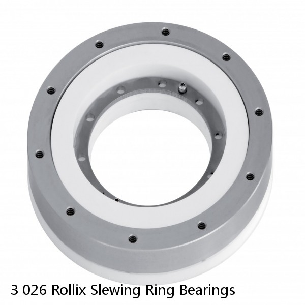 3 026 Rollix Slewing Ring Bearings