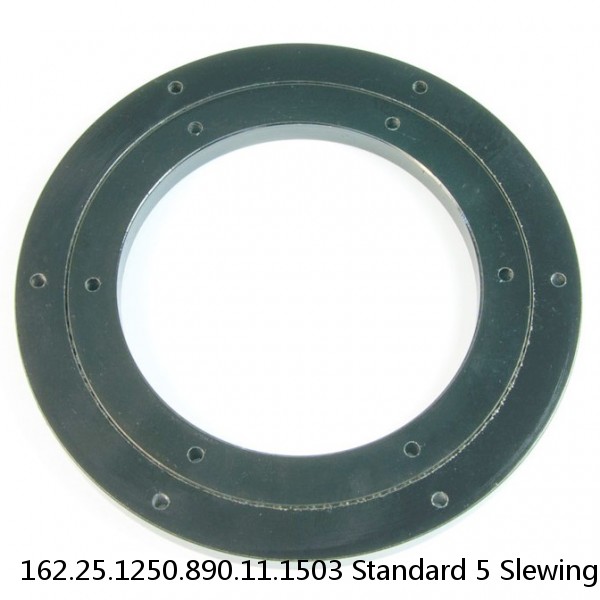 162.25.1250.890.11.1503 Standard 5 Slewing Ring Bearings