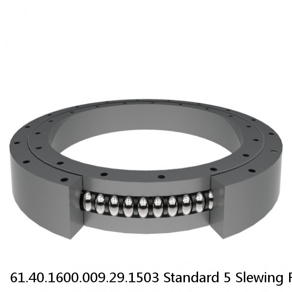 61.40.1600.009.29.1503 Standard 5 Slewing Ring Bearings