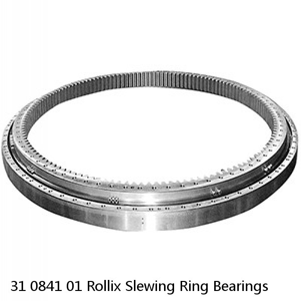 31 0841 01 Rollix Slewing Ring Bearings