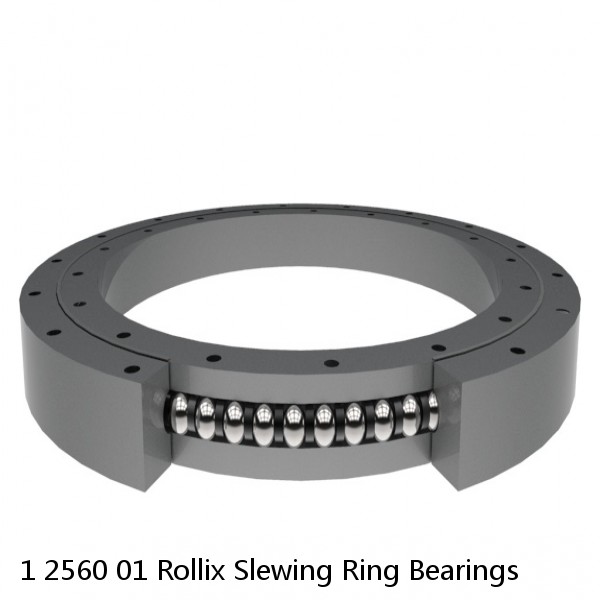 1 2560 01 Rollix Slewing Ring Bearings