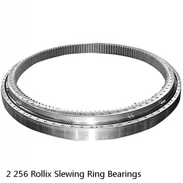 2 256 Rollix Slewing Ring Bearings