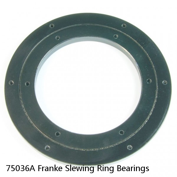 75036A Franke Slewing Ring Bearings