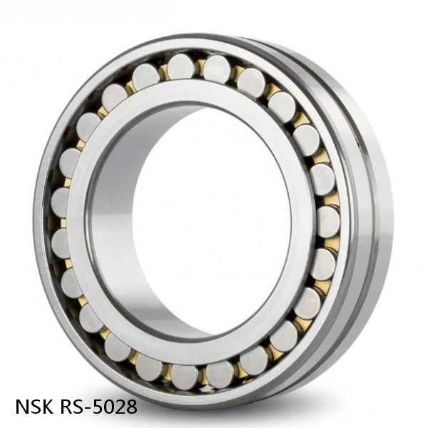 RS-5028 NSK CYLINDRICAL ROLLER BEARING