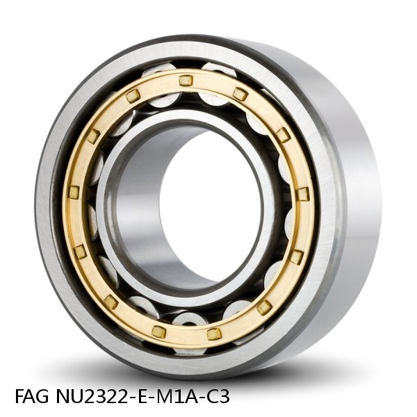 FAG NU2322-E-M1A-C3  Cylindrical Roller Bearings #1 image