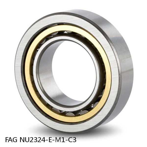 FAG NU2324-E-M1-C3  Cylindrical Roller Bearings #1 image