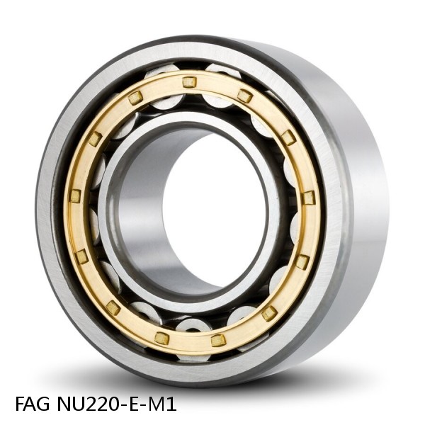 FAG NU220-E-M1  Cylindrical Roller Bearings #1 image