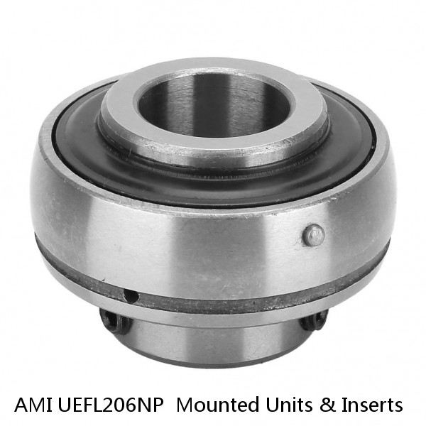 AMI UEFL206NP  Mounted Units & Inserts #1 image