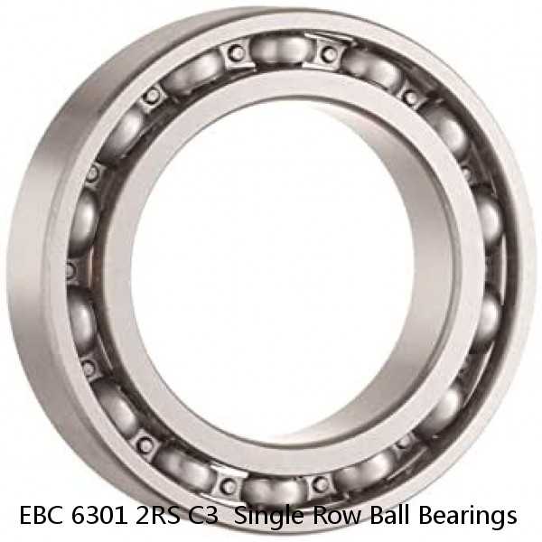 EBC 6301 2RS C3  Single Row Ball Bearings #1 image