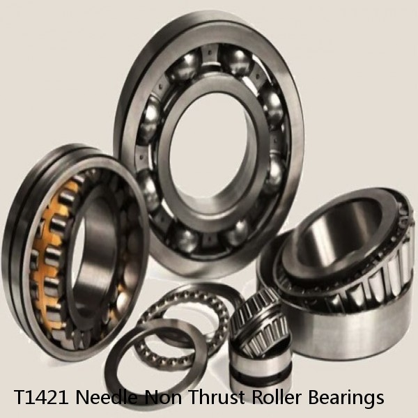 T1421 Needle Non Thrust Roller Bearings #1 image