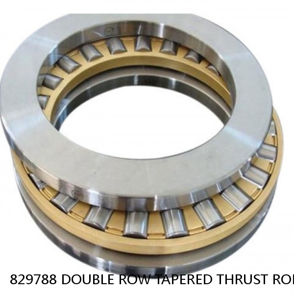 829788 DOUBLE ROW TAPERED THRUST ROLLER BEARINGS #1 image