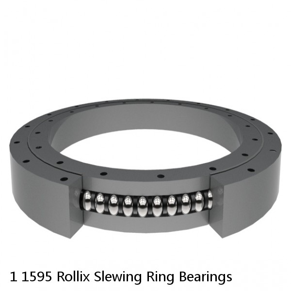 1 1595 Rollix Slewing Ring Bearings #1 image