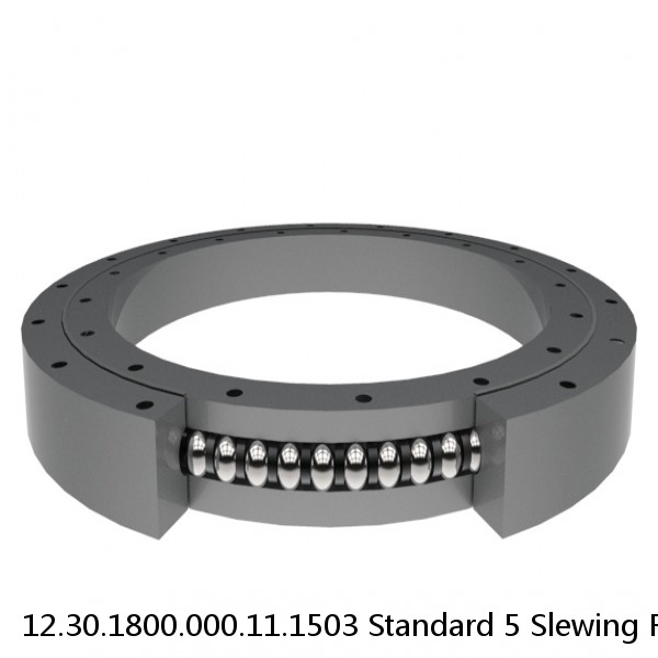 12.30.1800.000.11.1503 Standard 5 Slewing Ring Bearings #1 image