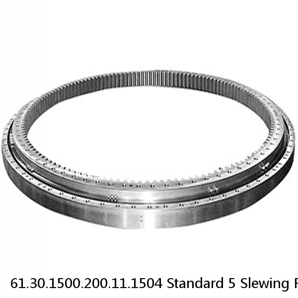 61.30.1500.200.11.1504 Standard 5 Slewing Ring Bearings #1 image