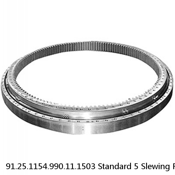 91.25.1154.990.11.1503 Standard 5 Slewing Ring Bearings #1 image