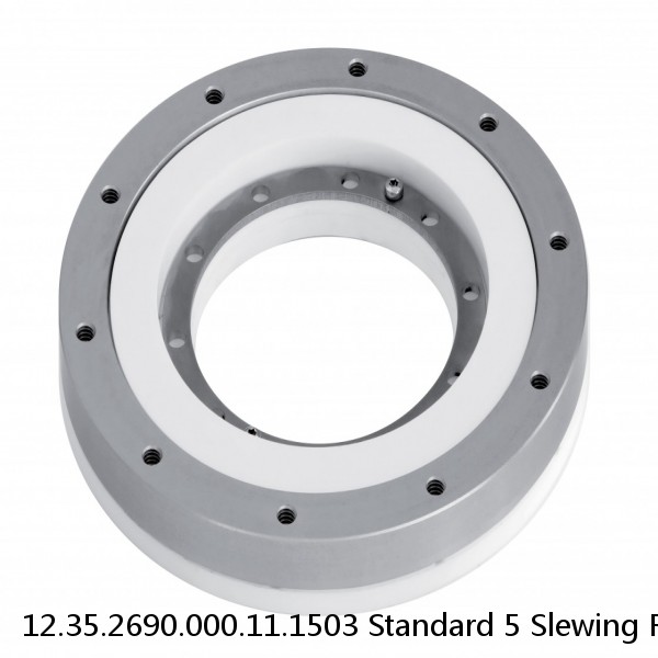 12.35.2690.000.11.1503 Standard 5 Slewing Ring Bearings #1 image