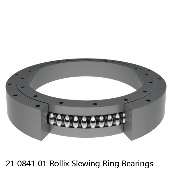 21 0841 01 Rollix Slewing Ring Bearings #1 image