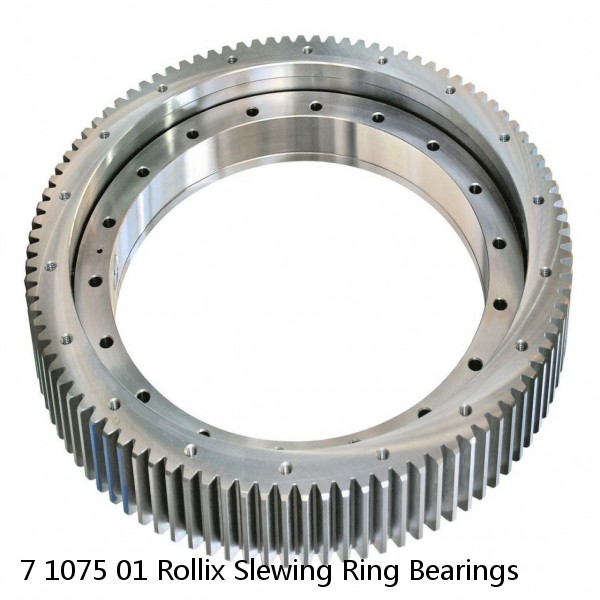 7 1075 01 Rollix Slewing Ring Bearings #1 image