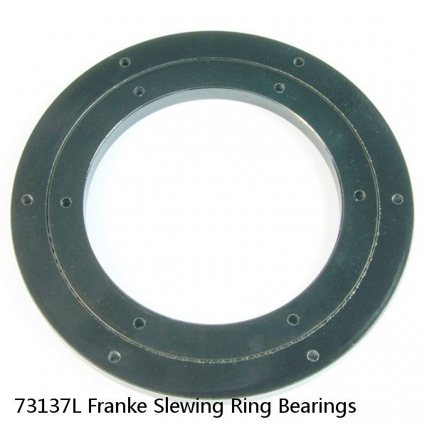 73137L Franke Slewing Ring Bearings #1 image