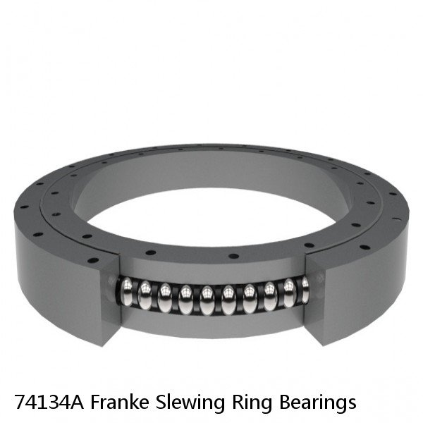 74134A Franke Slewing Ring Bearings #1 image