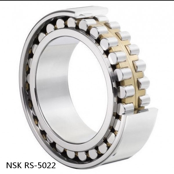 RS-5022 NSK CYLINDRICAL ROLLER BEARING #1 image